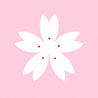           櫻花