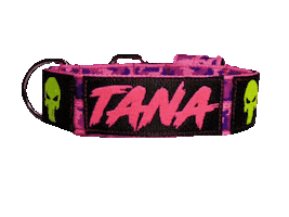 Cane Neclace Sticker by canespain