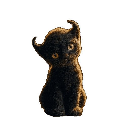 Cat What Sticker by Perdue