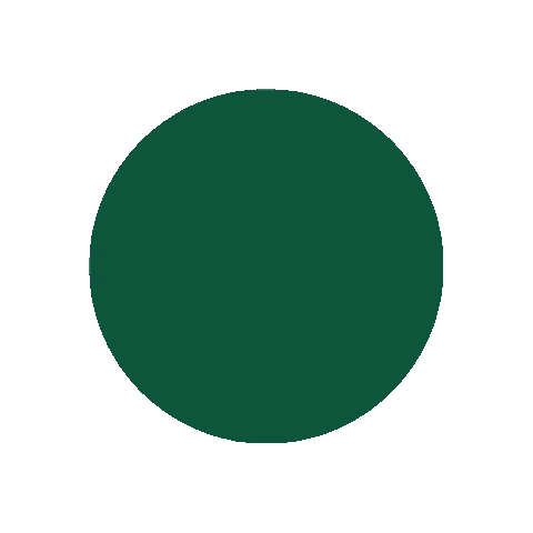 Laurenrosin Sticker by The Lauren Rosin Team