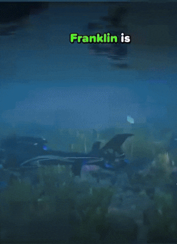 Gta 5 Franklin GIF