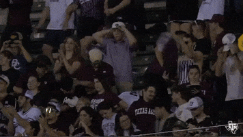 College Baseball GIF by Texas A&M Athletics