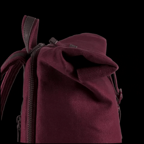Sperling-Bags red vegan bag cork GIF