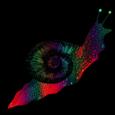 Snail GIF