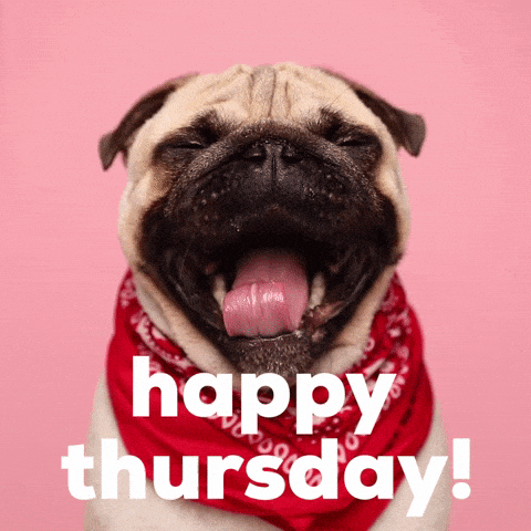 Happy Thursday GIFs - Get the best GIF on GIPHY