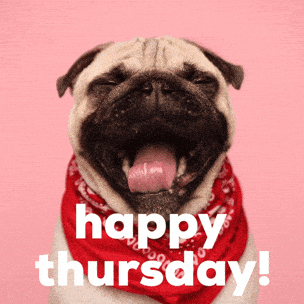 Dog GIF by Sealed With A GIF