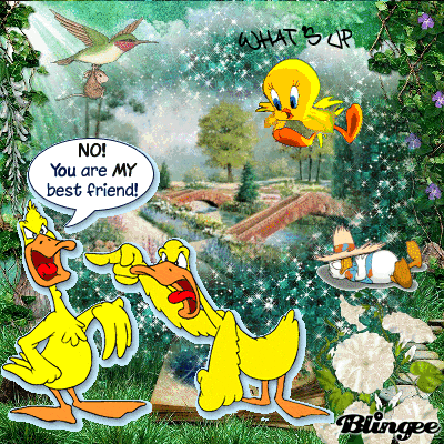 ducks