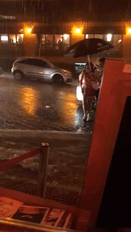 https://media1.giphy.com/media/bGoCtfhu1JpAY/giphy.gif?cid=790b7611c3789f1eabe66afc4bcbba1a98b17bd5c31bbd74&rid=giphy.gif