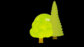 merikinbynature tree trees wald tanne GIF