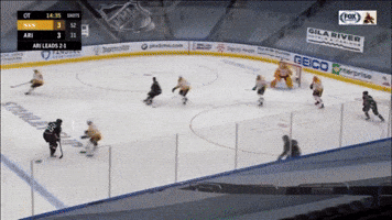 Arizona Coyotes GIF