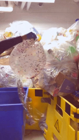 Trash Balloon GIF by Common Ground Compost
