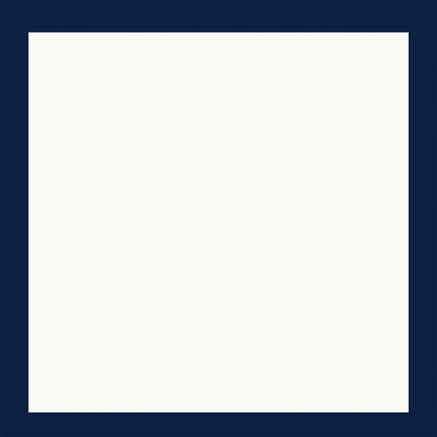 Rolebot.io GIF