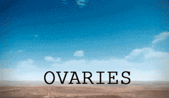 Ovaries Exploded GIFs - Get the best GIF on GIPHY