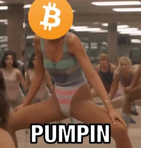 Bitcoin Meme GIF