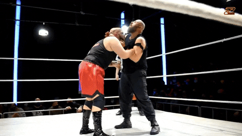 Zmak GIF