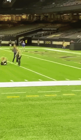 New Orleans Nfl GIF by Storyful