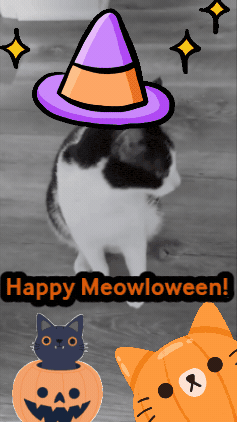 Fall Season Halloween GIF