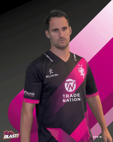 Ball T20 GIF by Somerset County Cricket Club
