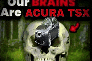 Our Brains GIF