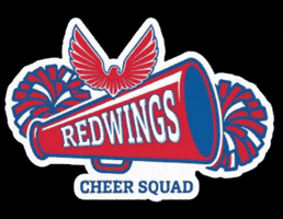 Redwings GIF by soyliceo
