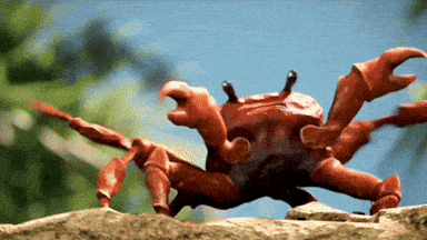 crabes meme gif