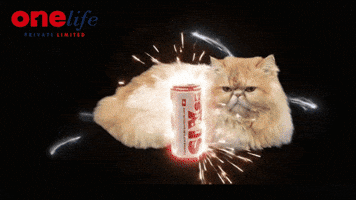 Energy Drink Beverage GIF by one life private limited
