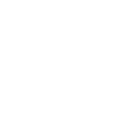 Korenmarkt Arnhem Sticker by Aspen Valley