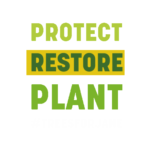 Jane Goodall Institute USA Sticker