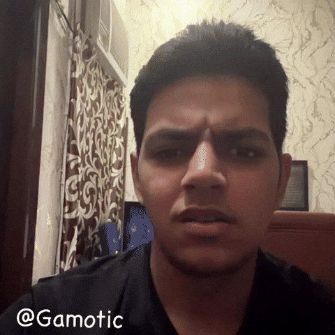 Wtf GIF