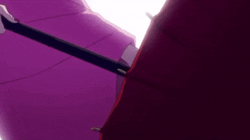Bsd GIF