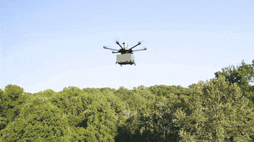 Flytrex GIF