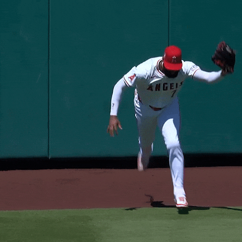 Excited La Angels GIF by Los Angeles Angels