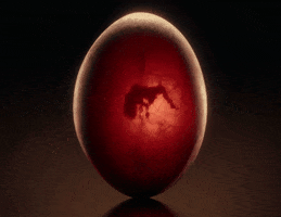 Egg Hiss GIF by Megan Thee Stallion