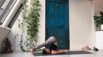 Yoga Point Den Bosch GIF