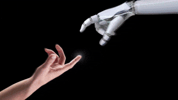 GIF by CLANEO