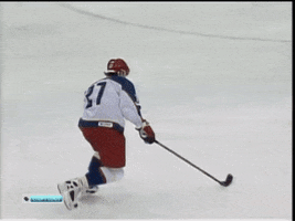 Гашек GIF