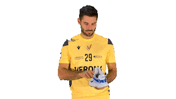 Volleyball Ver Sticker by Verona Volley