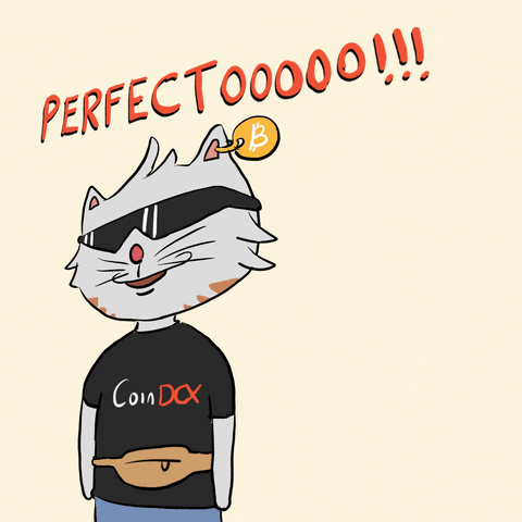 CoinDCXOfficial cat thumbs up crypto perfect GIF