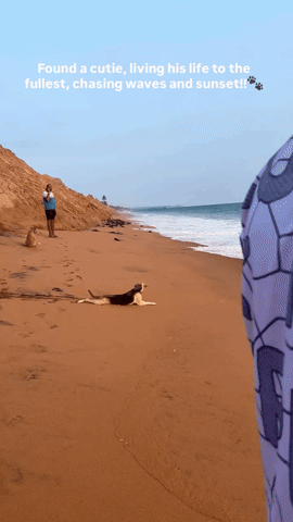 Animated GIF