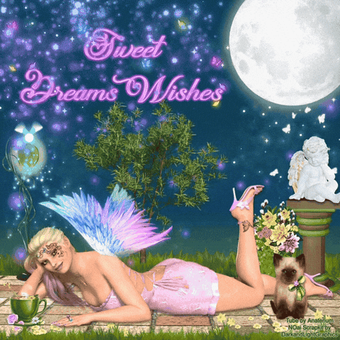 Good Night Dreams GIF