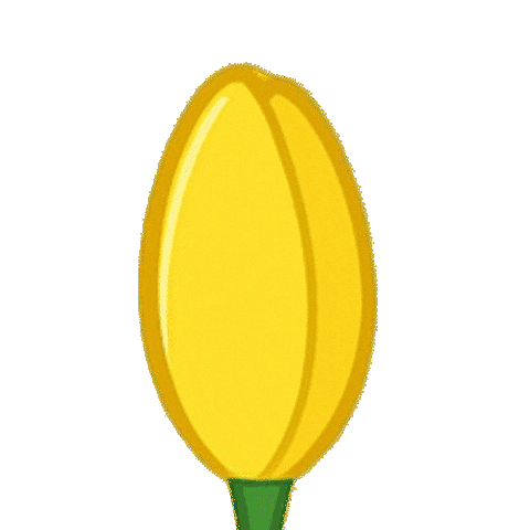 Summer Flower Sticker by Carrington Farms