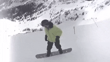boarding snowbird GIF by Justin