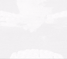 Polenta GIF