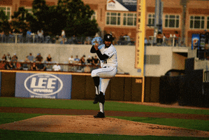 Sport Pitching GIF by Fayetteville Woodpeckers