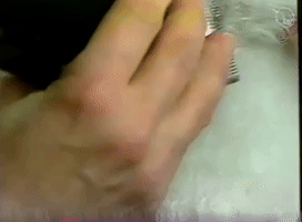 Found Footage Dog GIF by Eternal Family