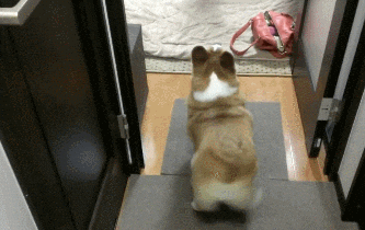 https://media1.giphy.com/media/bWS1Vh9mVkcZq/giphy.gif?cid=28f76e6149qrms8ukmya75udxusbrkcngjir4zfdxtmgn5wl&rid=giphy.gif