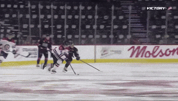 Moose Jaw Whl GIF