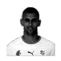 Algeria Sticker