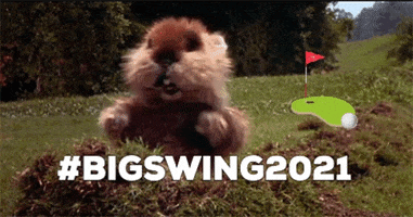 GIF by Big Brothers Big Sisters of SW WA