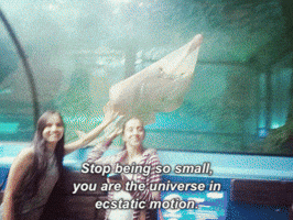 neupane  GIF